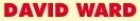 David Ward Building Contractors Ltd.
