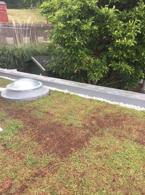 Advanced Roofing Services Ltd