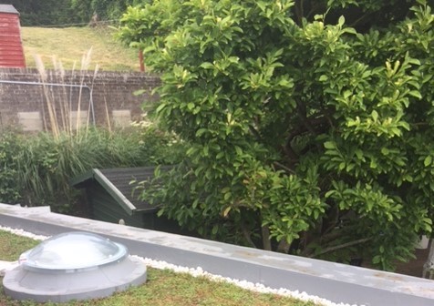 Advanced Roofing Services Ltd