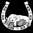 Jersey Home & Petsitters