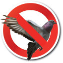 Avian Guard