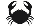 Crabs Direct