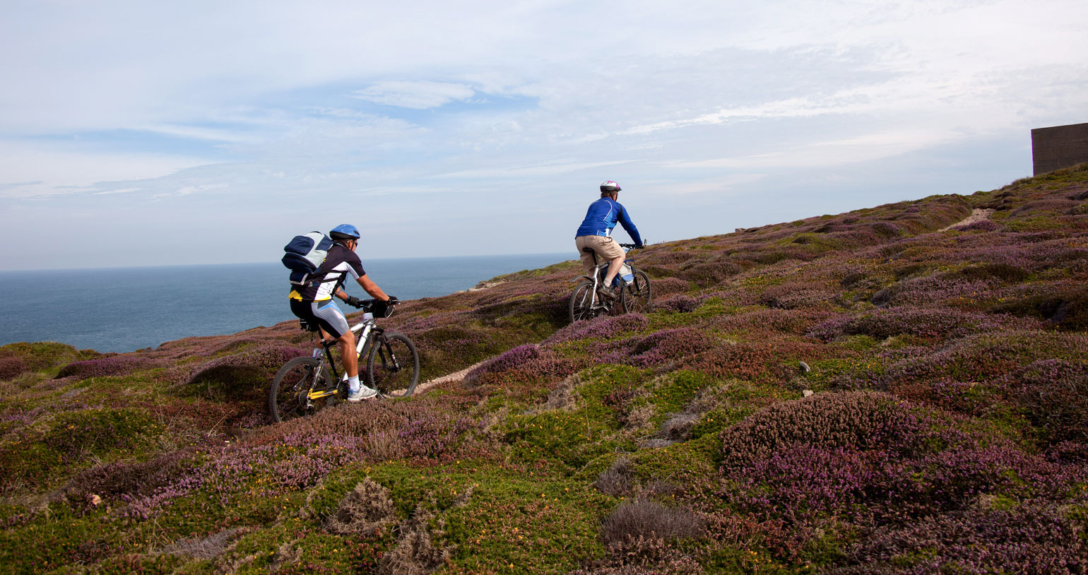 Jersey Cycling